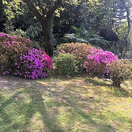Ananda 4* Verbania