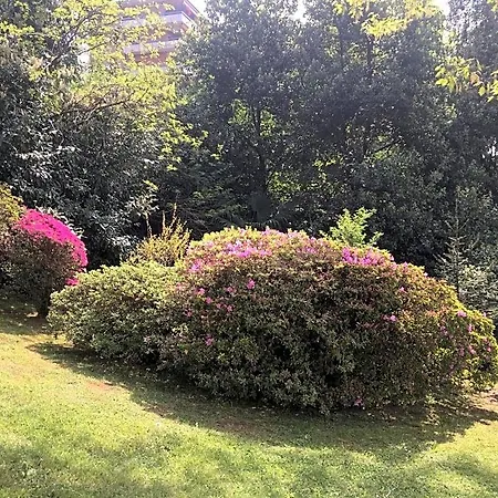 Bed & Breakfast Ananda