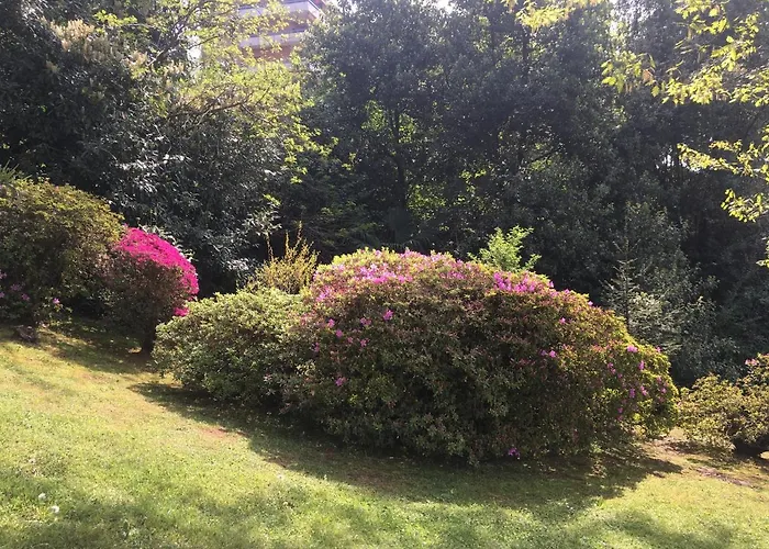 Ananda Bed and Breakfast Βερμπάνια